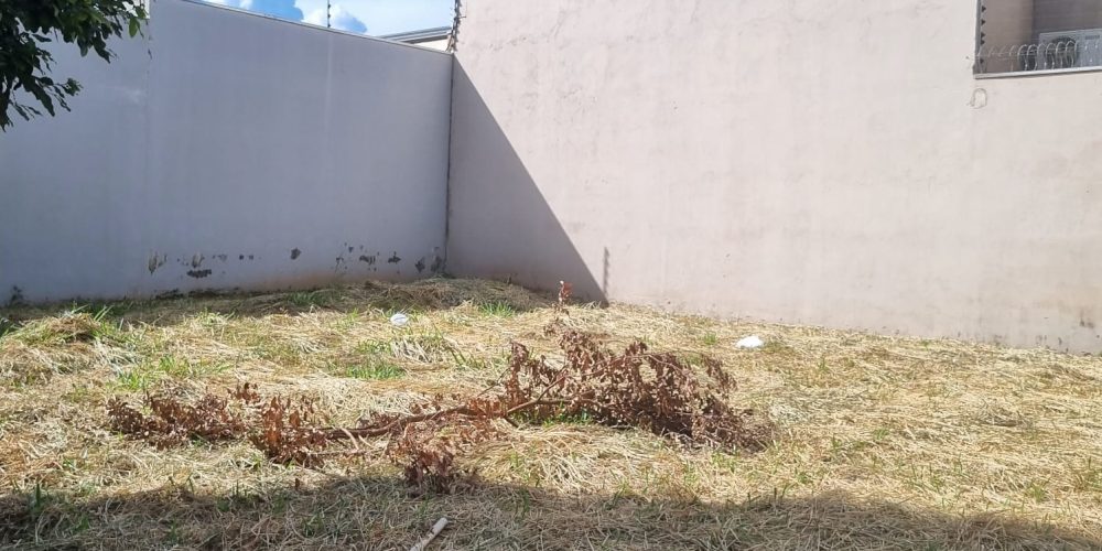 WhatsApp Image 2025-09-11 at 00.19.02