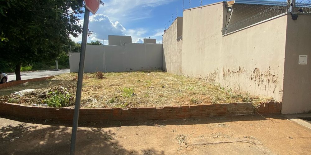 WhatsApp Image 2025-09-11 at 00.19.03 (1)