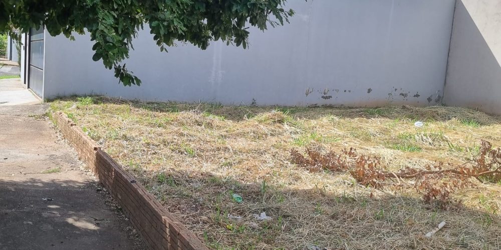 WhatsApp Image 2025-09-11 at 00.19.03 (2)