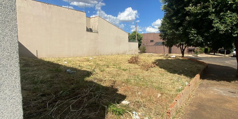 WhatsApp Image 2025-09-11 at 00.19.03