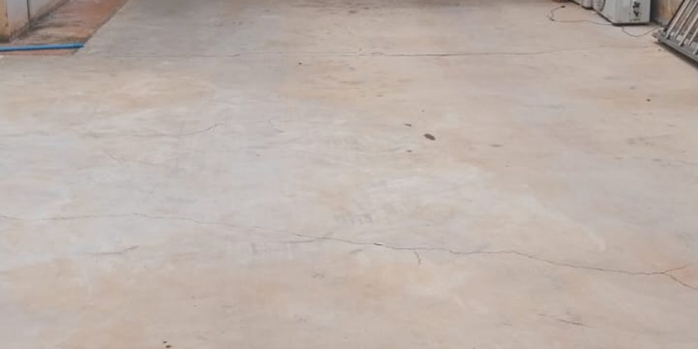 WhatsApp Image 2025-11-12 at 12.29.25