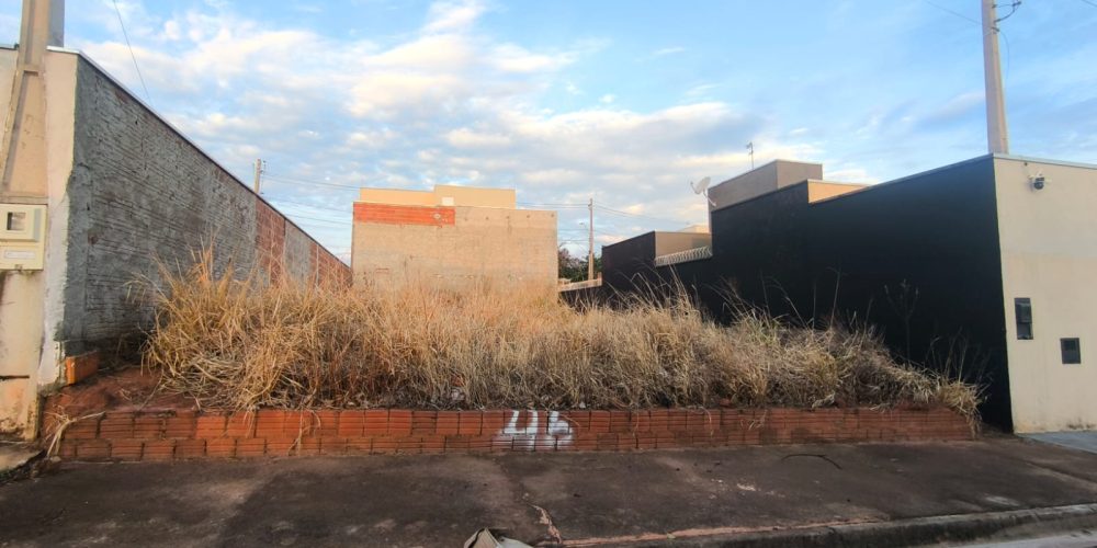 WhatsApp Image 2025-11-12 at 12.31.08