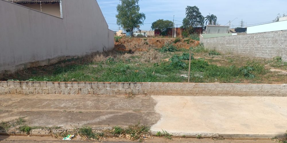 WhatsApp Image 2025-11-12 at 12.31.51