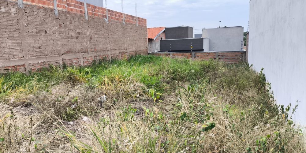 WhatsApp Image 2025-11-19 at 12.44.39 (1)