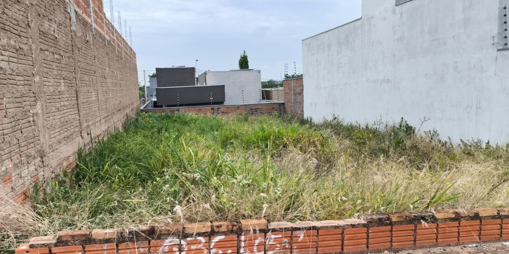 WhatsApp Image 2025-11-19 at 12.44.39