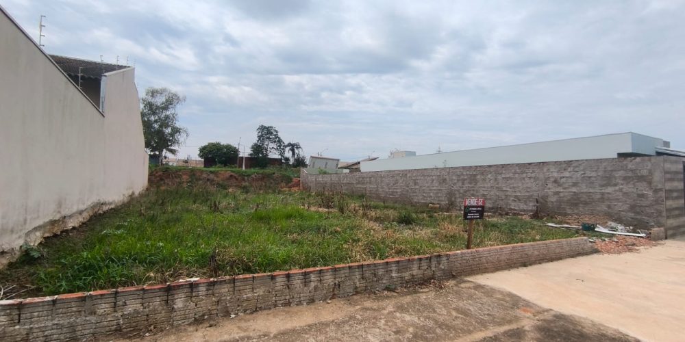 WhatsApp Image 2025-11-19 at 12.49.17