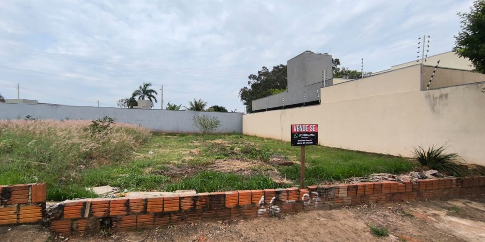 WhatsApp Image 2025-11-25 at 00.18.44