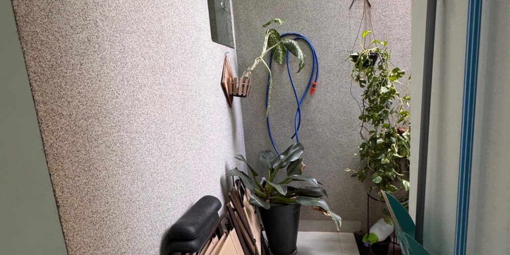 WhatsApp Image 2025-12-08 at 12.53.57